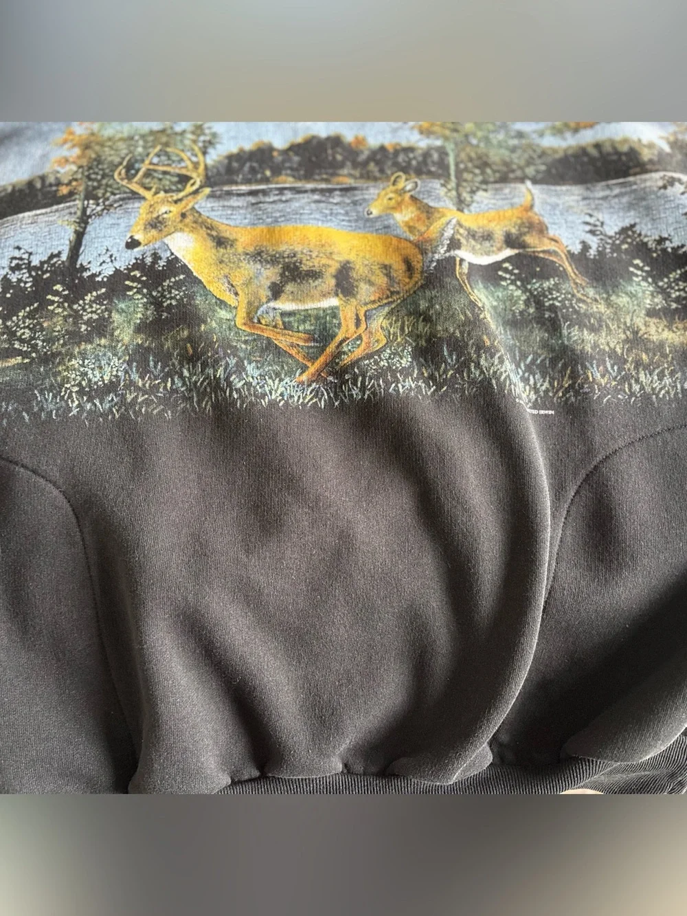 Black Deer Scenic Sweatshirt with Lake Print - Picture 6 of 7